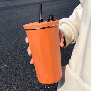 漏れない 真空二重 ストロータンブラー 600ml コップ ステンレス ストロー付き マグ 蓋付き こぼれない ステンレス ストローボトル コー