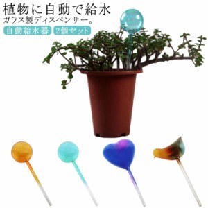 水差し 鉢植え 観葉植物 自動給水器 2個セット 自動水やり器 給水 カラー ガラス 自動水やり器 給水 水やり 自動 給水器 散水 ツール 水