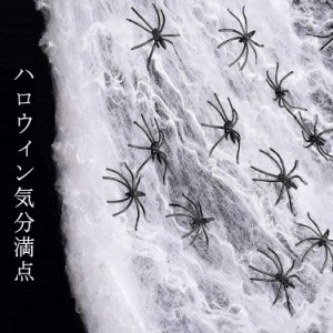 ハロウィン 飾り 蜘蛛の巣 蜘蛛の糸 100g クモ 30個セット 装飾 飾り付け お化け屋敷 スパイダーウェブ ハロウィングッズ コスプレ グッ