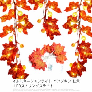 イルミネーションライト パンプキン 紅葉 LEDストリングスライト ハロウイン装飾ストリングスライ 電池式 屋内・屋外兼用 10/20/40球