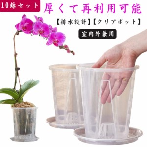 陶器 植木鉢 胡蝶蘭鉢 2鉢セット 寒かっ