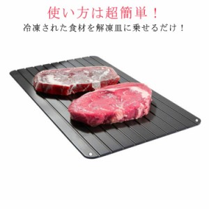 解凍プレート 業務用 まな板 急速解凍 解凍板 解凍ツール 肉 ホタテ 解凍まな板 自然解凍プレート冷凍食品 業務用家庭用 急速 食品解凍 