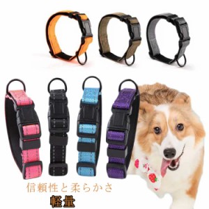 送料無料 ペットグッズ ペット 軽量 送料無料 ペット用品 ナイロン 犬 用品 お散歩 犬 グッズ 首輪 犬のリード カラー 可愛い 紐 カラフ