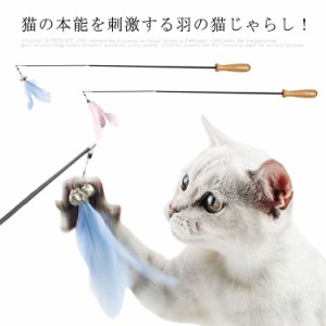 愛猫用伸縮スティックタイプ付け猫じゃらし おもちゃ 猫じゃらし 釣竿じゃらし ねこじゃらし おもちゃ セット プレゼント 贈答 愛猫のお