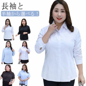 送料無料 S~8XL シャツ 長袖 半袖 白シャツ 大きいサイズ レディース スーツ インナー 襟付き ゆったり オフィス ブラック ブルー ビジネ