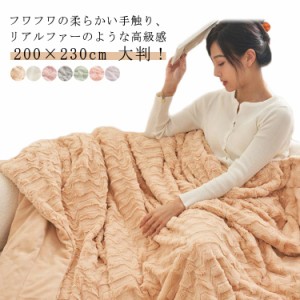 200×230cm 大判 もこもこ毛布 ダブル ふわふわ もこもこ 毛布 ブランケット ひざ掛け 掛け毛布 マルチカバー ウォーム あったか 暖かい 