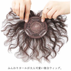 送料無料 白髪隠し 部分ウィッグ ヘアピース 人毛100％ トップカバー つむじ付き 薄毛 抜け毛 ウェーブ カール ミセス 母の日 黒髪 ダー