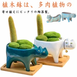 植木鉢 猫 多肉植物 飾り 2個セット サボテン鉢 ミニ かわいい 寄せ植え ガーデン 観葉植物 プランター ミニ植物適用 プランター おしゃ