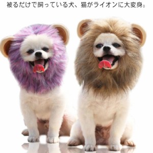 ペット ウィッグ ライオン 猫 犬用 コスプレ ハロウィン 着ぐるみ 帽子 かつら ペット  いぬ用 ねこ用 ペット帽子 ライオンに変身