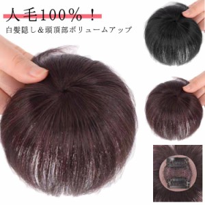 人毛100％ 部分ウィッグ 頭頂部 ウィッグ ヘアピース 自然 ショート ストレート つけ毛 通気性 前髪あり 頭頂部ボリュームアップ 薄毛 脱