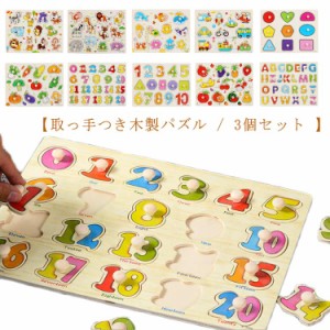 型はめパズル 木のおもちゃ 木製パズル 3個 ランダム発送 型はめ かたはめ パズル ベビー 子供 木製 知育玩具 木のパズル 取っ手付き 立