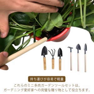 2セット(総6点) ミニ園芸ツール 多肉植物工具 移植スコップ 熊手 ハンドシャベル 鉢植ツール 多用途 園芸 ツール 1セット（3点）培土 送