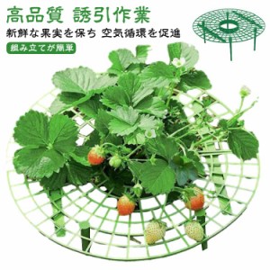 15個セット！イチゴ サポート イチゴ支え棚 丸型 野菜ラック 植物 支柱サポート フラワースタンド 園芸ラック 園芸用簡単支柱セット 折り