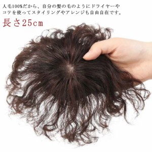 ウィッグ 部分ウィッグ 人毛100％ 長さ25cm 白髪隠し 送料無料 ヘアピース 薄毛対策 トップカバー 滑り止め トップ ピース トップ カバー