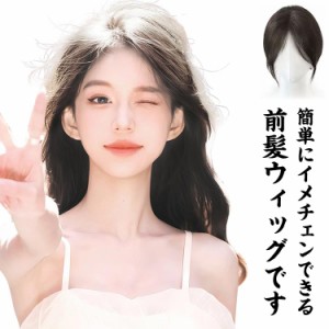 部分ウィッグ 前髪ウィッグ レディース ポイントウィッグ エクステ 3D構造 ウィッグ つけ毛 女性 S字 かつら トップカバー 自然 ナチュラ