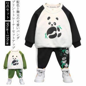 パーカー セットアップ 子供服 スウェット セットアップ プルオーバー パンツ 2点 パンダ柄 配色 切り替え 女の子 男の子 男児 女子 女児