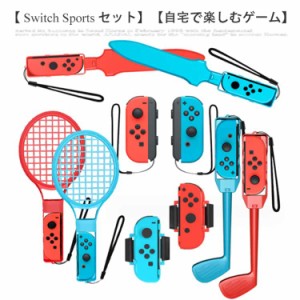 【10 in 1セット】Switch Sports ゲーム用 アクセサリーセット スイッチスポーツ 用セット体感ゲーム対応 sportsゲーム スイッチ スポー