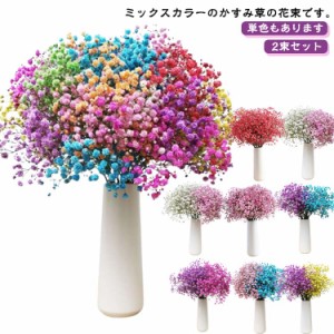 送料無料 誕生日 ドライフラワー かすみ草 かすみ草 ブーケ 花束 ウエディング 送別 祝い 大さいサイズ 退職祝い ボリューム 花 結婚祝い