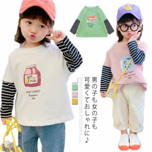 トレーナー 切り替え フェイクレイヤード 子供服 長袖Tシャツ プルオーバー トップス ボーダー スウェット おしゃれ 女の子 男の子 キッ