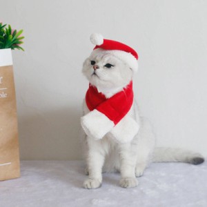 4点セット クリスマス 衣装 犬 猫 服 ペット服 サンタ トナカイ コスプレ キャットウェア ねこ ケープ 冬 可愛い かわいい おしゃれ 帽子