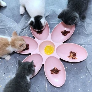 ペット 多頭飼い お皿 ペットボウル 犬 猫 フラワーディッシュ 猫用食器 ペット用 ペットグッズ ペット皿 エサ入れ おやつ皿 子猫 ラワー
