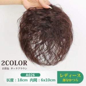 部分ウィッグ ヘアピース  耐熱 部分ウィッグ かつら人毛 自然黒 ダークブラウン