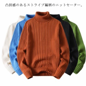 ニットセーター ストライプ柄 タートルネック 上品 メンズ 細身 ニット セーター トップス 秋服 冬服 ハイネック スリム フィット 通勤 