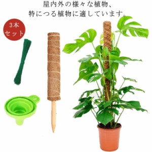 植物支柱 3本セット 園芸支柱 モンステラ支柱 30cm 40cm 50cm 鉢植え 観葉支柱 ガーデニング用 支柱 おしゃれ つる性植物 天然ココナッツ