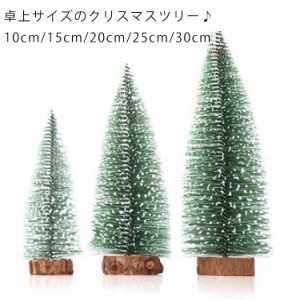 クリスマスツリー ナチュラルツリー 25cm 30cm ツリー 卓上ミニサイズ ミニ シンプル おしゃれ クリスマス 小型 テーブル リアル 雪 北欧