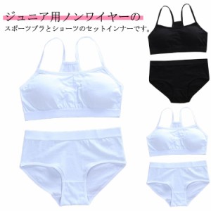  成長期 ショーツ 下着セット 子供 カップ付き 2点セット インナー ガールズ 下着 ジュニア向け ジュニア スポーツブラ 肌着 スポーツブ