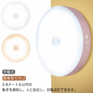  人感センサーライト ライト 自動点灯 2台セット 2台セット 充電式 屋内 led 照明 廊下  室内 人感センサー 感知 省エネ 磁石 小型 玄関 