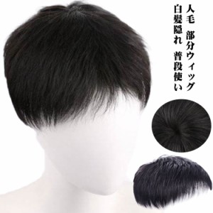 メンズ用 人毛 トップカバー 部分ウィッグ メンズウィッグ ヘアピース 男性用 紳士用 白髪 薄毛 円型脱毛症 トップピース 頭頂部 増毛 部