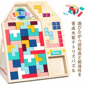 3D テトリス 積み木 知育玩具 木のおもちゃ 型はめパズル 木製パズル ジグソーパズル 木製 ブロック 立体パズル 組み立て 早期開発 教育