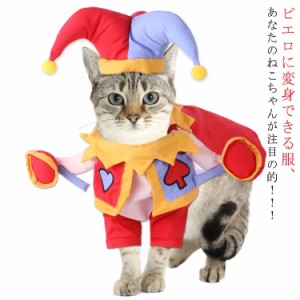 ハロウィン ペット服 コスチューム 衣装 ピエロ ジョーカー 犬用 猫用 コスプレ衣装 ドッグウェア 帽子 犬服 キャットウェア 犬用品 仮装