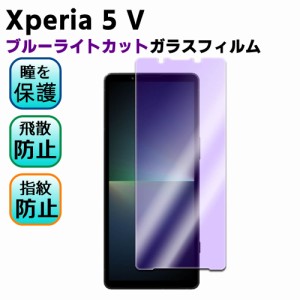 Xperia 5 V SO-53D SOG12 ブルーライトカット 強化ガラス 液晶保護フィルム ガラスフィルム 耐指紋 撥油性 表面硬度 9H 業界最薄0.3mmの