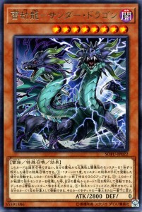 遊戯王カード 雷劫龍−サンダー・ドラゴン(レア) ソウル・フュージョン（SOFU） | 効果モンスター 闇属性 雷族 レア