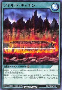 遊戯王 ラッシュデュエル ワイルド・キッチン  デッキ改造パック 激闘のサンダーストーム!! （RD/KP06） |  フィールド魔法   ノーマル