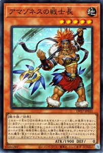 遊戯王カード アマゾネスの戦士長(スーパーレア) デュエリストパック 輝石のデュエリスト編（DP27） | 効果モンスター 地属性 戦士族