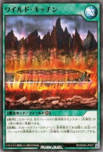 遊戯王カード ワイルド・キッチン(ノーマル) マナブ 炎のケミストニャードロー！ （RD/SD04） | フィールド魔法 