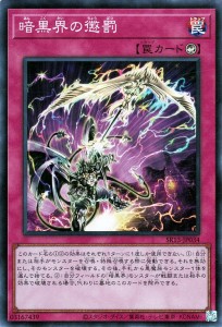 遊戯王カード 暗黒界の懲罰(スーパーレア) ストラクチャーデッキR デビルズ・ゲート（SR13） | バトル・オブ・カオス カウンター罠 スー