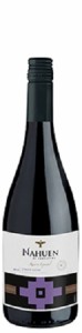 ナウエン　レゼルバ　エスペシアル　ピノ　ノワール　[2022]　750ml　赤　Terrapura　 Nahuen Reserva Especial Pinot Noir