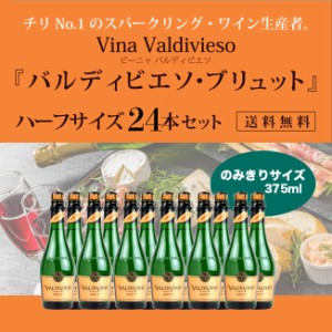 【ビーニャ　バルディビエソ】　バルディビエソ　ブリュット　ハーフボトル　まとめ買い24本セット　375ml×24本　《送料無料》