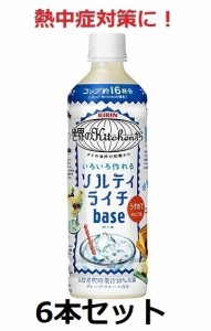 キリン / 熱中症対策に！　世界のkitchenから　ソルティライチベース　500ml　5倍希釈用　6本　セット