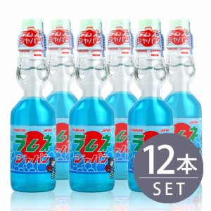 【寿屋】ラムネ瓶　ラムネジャパン　200ml【瓶】12本　ビー玉栓　炭酸　らむね　びん