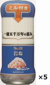 エスビー　ミル付岩塩　40g×5本