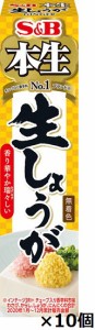 エスビー 本生　生しょうが40g×10個