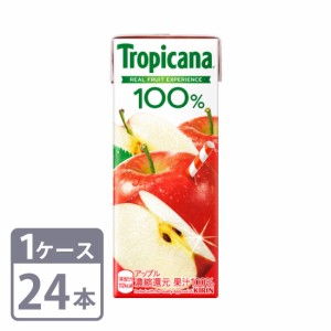 キリン トロピカーナ 100% アップル 250ml×24本 紙パック 1ケースセット 送料無料