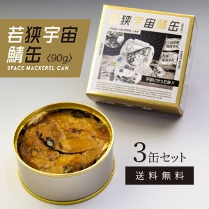 サバ缶 若狭宇宙鯖缶 SPACE MACKEREL CAN 90g×3缶セット 〈送料無料〉