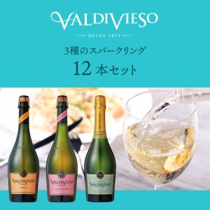 ビーニャ バルディビエソ バルディビエソ 3種のスパークリング 12本セット 750ml×12本 送料無料