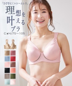 ブラジャー 大きいサイズ ワイヤー入り レディース シームレス ひびかない シンプル モールド ムレにくい 吸汗速乾 延長ホック付 黒 ベー